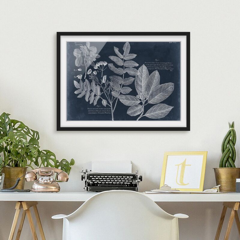 Póster enmarcado - Foliage Dark Blue - Avocado Dimensión LxA: 30cm x 40cm, Marco: Negro
Póster enmarcado - Foliage Dark Blue - Avocado Dimensión LxA: 30cm x 40cm, Marco: Negro