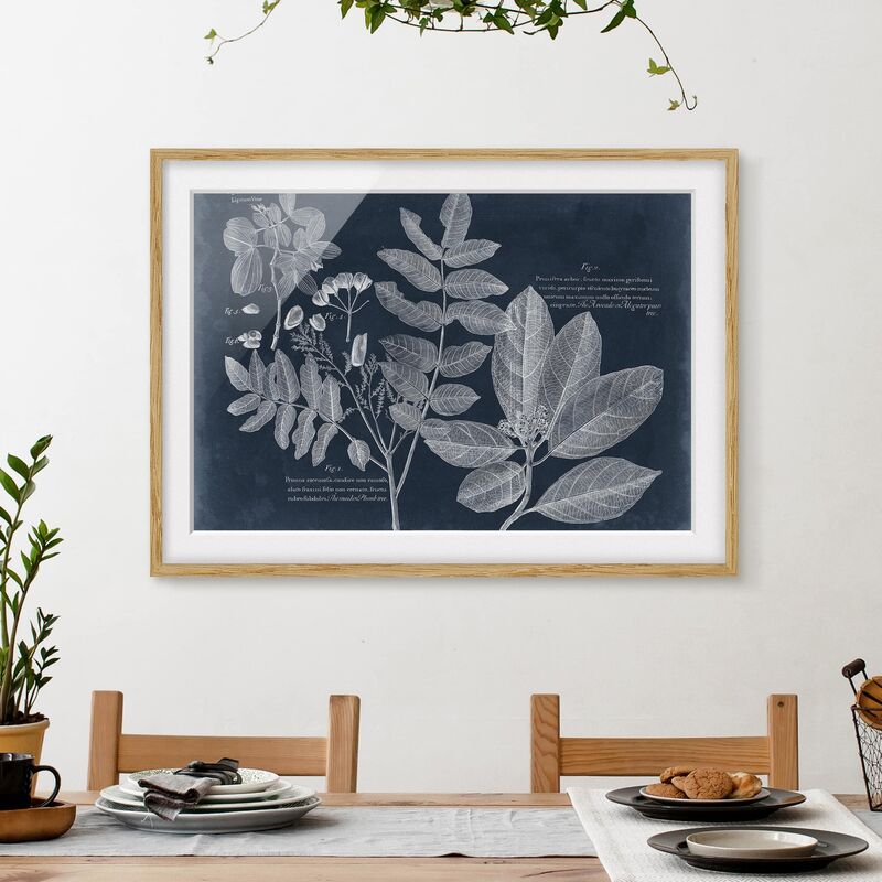 Póster enmarcado - Foliage Dark Blue - Avocado Dimensión LxA: 18cm x 24cm, Marco: Roble
Póster enmarcado - Foliage Dark Blue - Avocado Dimensión LxA: 18cm x 24cm, Marco: Roble