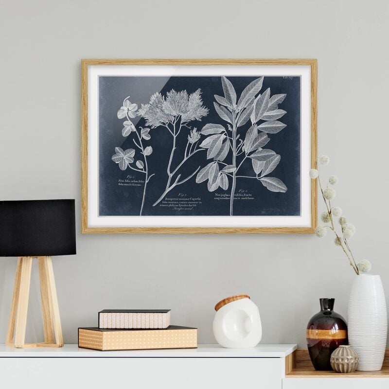 Póster enmarcado - Foliage Dark Blue - Juniper Dimensión LxA: 50cm x 70cm, Marco: Roble
Póster enmarcado - Foliage Dark Blue - Juniper Dimensión LxA: 50cm x 70cm, Marco: Roble