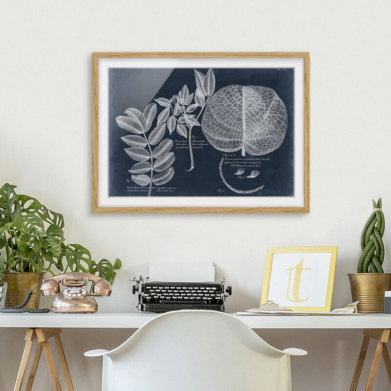 Póster enmarcado - Foliage Dark Blue - Mangrove Dimensión LxA: 40cm x 55cm, Marco: Roble
Póster enmarcado - Foliage Dark Blue - Mangrove Dimensión LxA: 40cm x 55cm, Marco: Roble