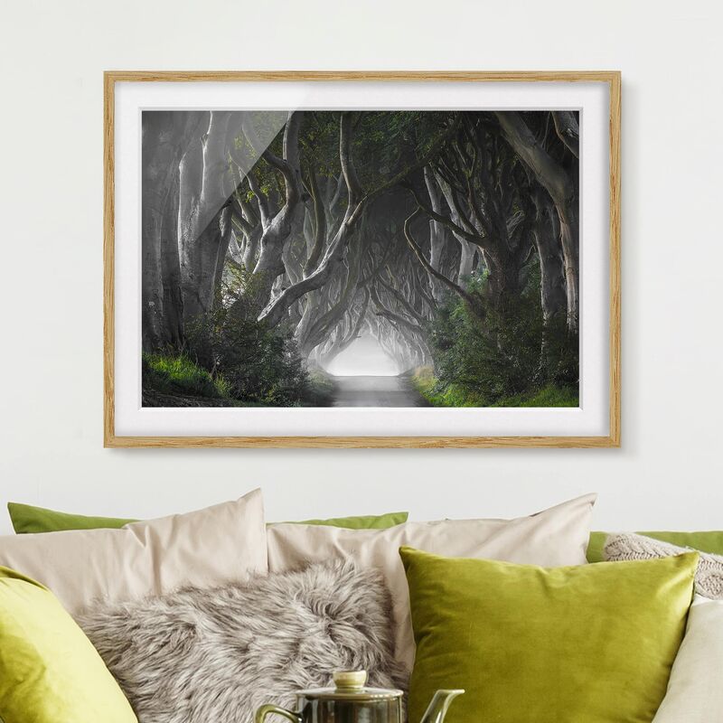 Póster enmarcado - Forest In Northern Ireland Dimensión LxA: 18cm x 24cm, Marco: Roble
Póster enmarcado - Forest In Northern Ireland Dimensión LxA: 18cm x 24cm, Marco: Roble