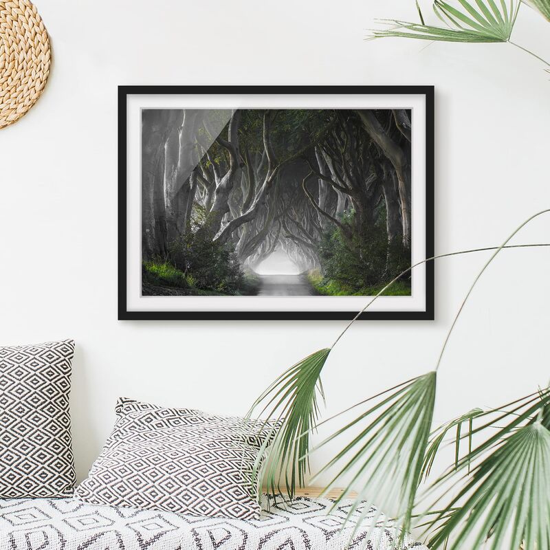 Póster enmarcado - Forest In Northern Ireland Dimensión LxA: 40cm x 55cm, Marco: Negro
Póster enmarcado - Forest In Northern Ireland Dimensión LxA: 40cm x 55cm, Marco: Negro