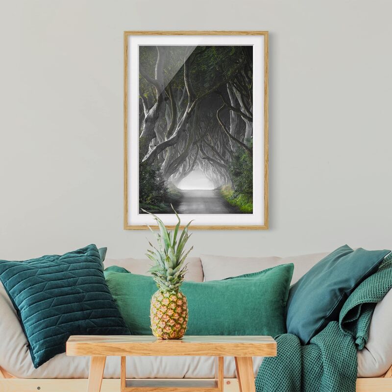 Póster enmarcado - Forest In Northern Ireland Dimensión LxA: 40cm x 30cm, Marco: Roble
Póster enmarcado - Forest In Northern Ireland Dimensión LxA: 40cm x 30cm, Marco: Roble