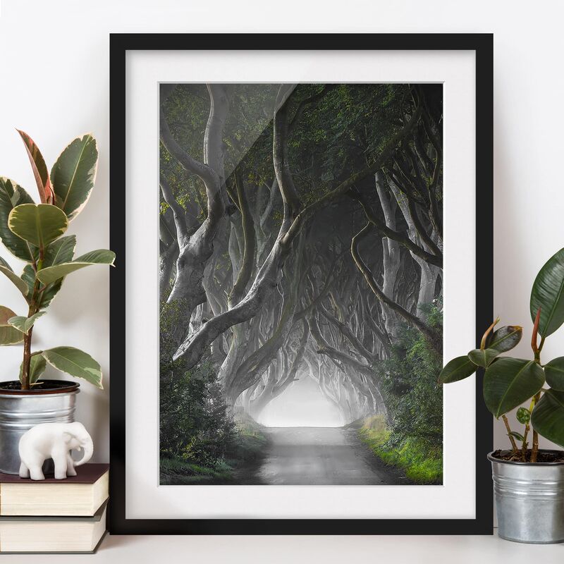 Póster enmarcado - Forest In Northern Ireland Dimensión LxA: 24cm x 18cm, Marco: Negro
Póster enmarcado - Forest In Northern Ireland Dimensión LxA: 24cm x 18cm, Marco: Negro