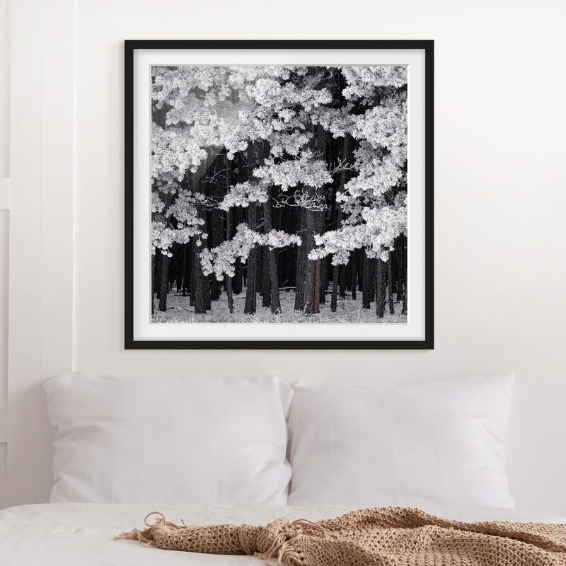 Póster enmarcado - Forest With Hoarfrost In Austria Dimensión LxA: 50cm x 50cm, Marco: Negro
Póster enmarcado - Forest With Hoarfrost In Austria Dimensión LxA: 50cm x 50cm, Marco: Negro