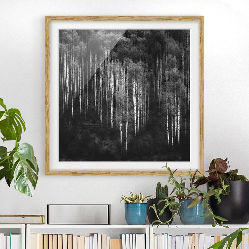 Póster enmarcado - Foreste di betulle in Aspen Dimensión LxA: 20cm x 20cm, Marco: Roble
Póster enmarcado - Foreste di betulle in Aspen Dimensión LxA: 20cm x 20cm, Marco: Roble