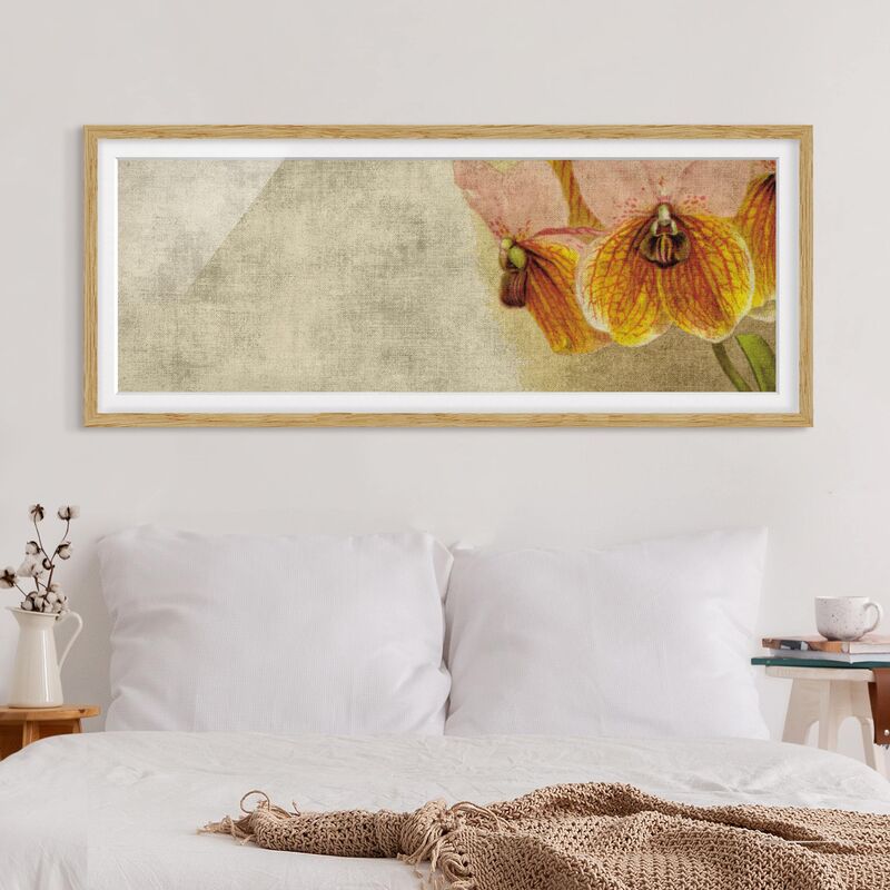 Póster enmarcado - Forgotten Bellezze Iii Dimensión LxA: 50cm x 130cm, Marco: Roble
Póster enmarcado - Forgotten Bellezze Iii Dimensión LxA: 50cm x 130cm, Marco: Roble