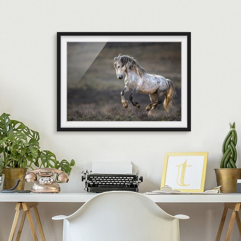 Póster enmarcado - Galloping Through The Heather Dimensión LxA: 70cm x 100cm, Marco: Negro
Póster enmarcado - Galloping Through The Heather Dimensión LxA: 70cm x 100cm, Marco: Negro