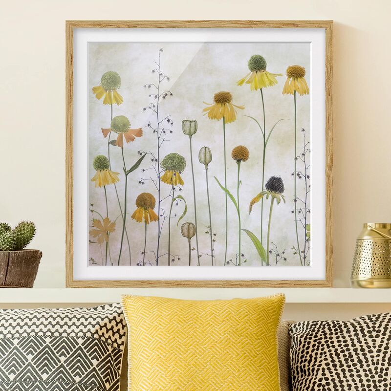 Póster enmarcado - Gentle Helenium Blossoms Dimensión LxA: 50cm x 50cm, Marco: Roble
Póster enmarcado - Gentle Helenium Blossoms Dimensión LxA: 50cm x 50cm, Marco: Roble