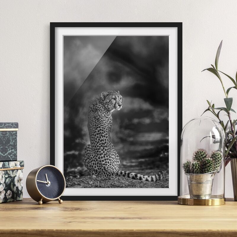 Póster enmarcado - Ghepardo Nel Deserto Dimensión LxA: 100cm x 70cm, Marco: Negro
Póster enmarcado - Ghepardo Nel Deserto Dimensión LxA: 100cm x 70cm, Marco: Negro