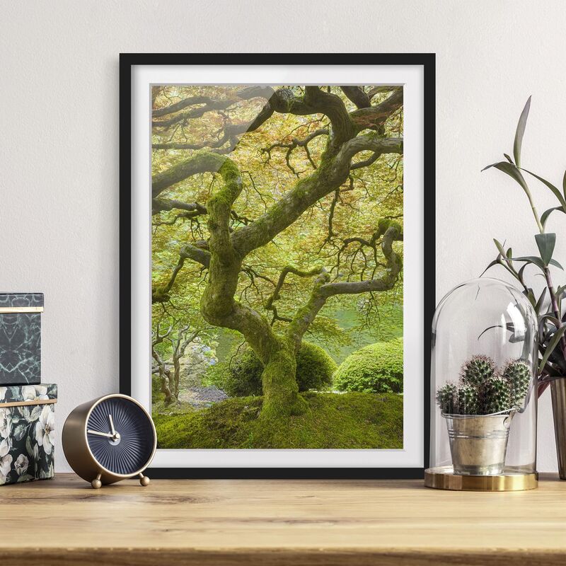 Póster enmarcado - Green Japanese Garden Dimensión LxA: 100cm x 70cm, Marco: Negro
Póster enmarcado - Green Japanese Garden Dimensión LxA: 100cm x 70cm, Marco: Negro