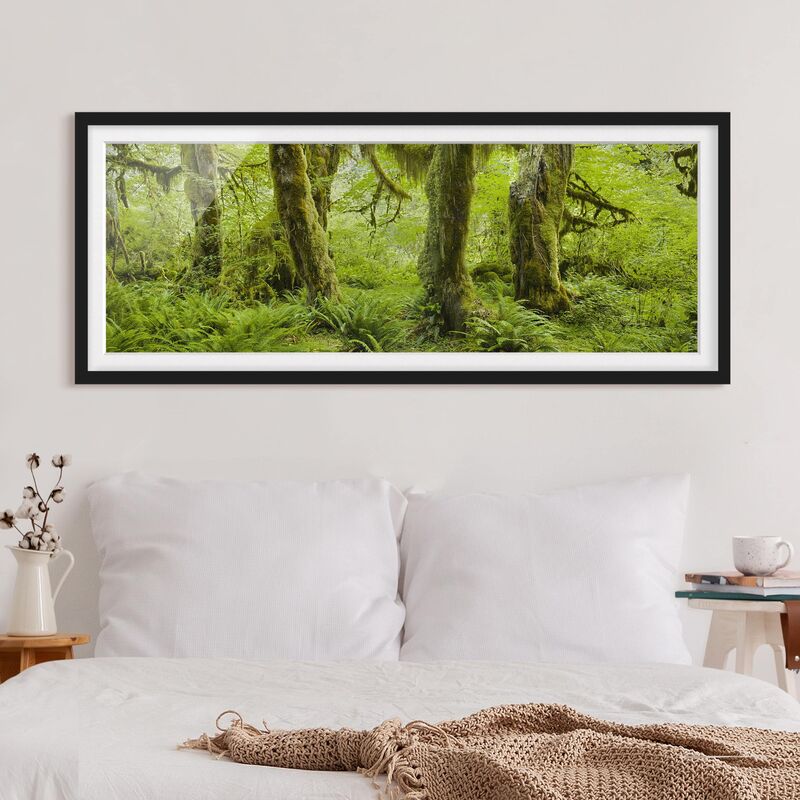 Póster enmarcado - Hall Of Muschi Olympic National Park Dimensión LxA: 30cm x 75cm, Marco: Negro
Póster enmarcado - Hall Of Muschi Olympic National Park Dimensión LxA: 30cm x 75cm, Marco: Negro