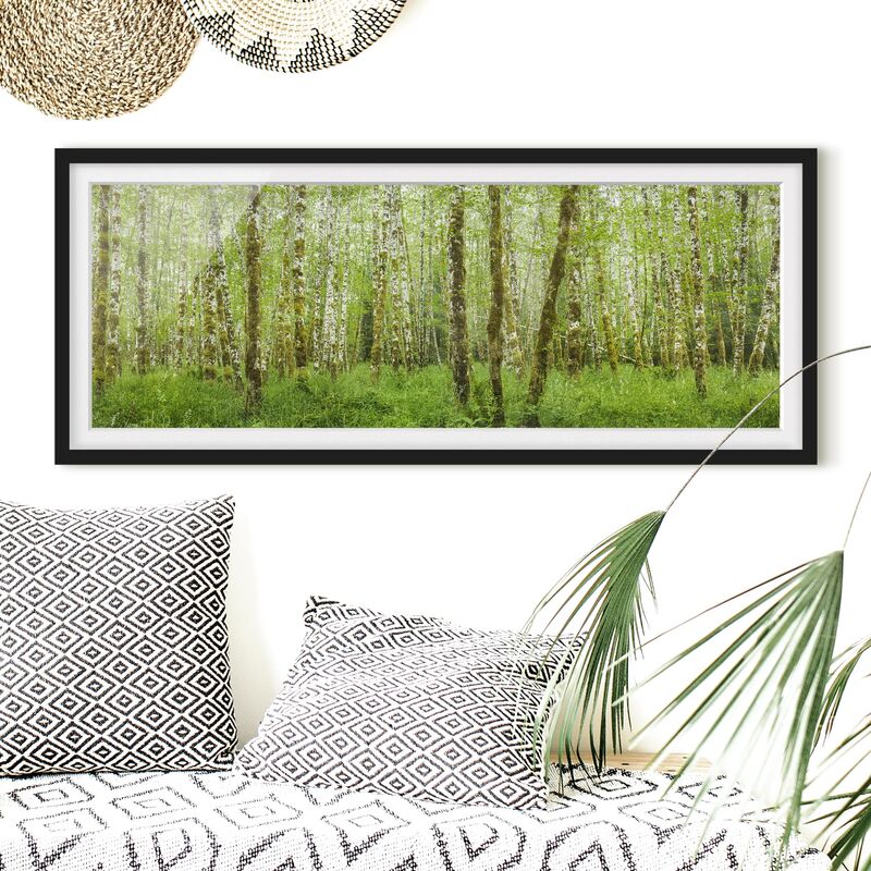 Póster enmarcado - Hoh Rain Forest Nel Parco Nazionale Olimpica Dimensión LxA: 20cm x 50cm, Marco: Negro
Póster enmarcado - Hoh Rain Forest Nel Parco Nazionale Olimpica Dimensión LxA: 20cm x 50cm, Marco: Negro