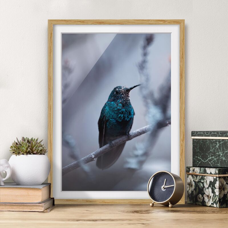 Póster enmarcado - Hummingbird In Winter Dimensión LxA: 24cm x 18cm, Marco: Roble
Póster enmarcado - Hummingbird In Winter Dimensión LxA: 24cm x 18cm, Marco: Roble