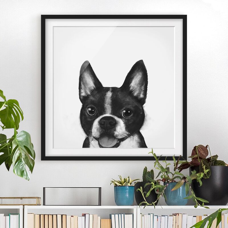 Póster enmarcado - Illustrazione Dog Boston Monochrome Pittura Dimensión LxA: 50cm x 50cm, Marco: Negro
Póster enmarcado - Illustrazione Dog Boston Monochrome Pittura Dimensión LxA: 50cm x 50cm, Marco: Negro