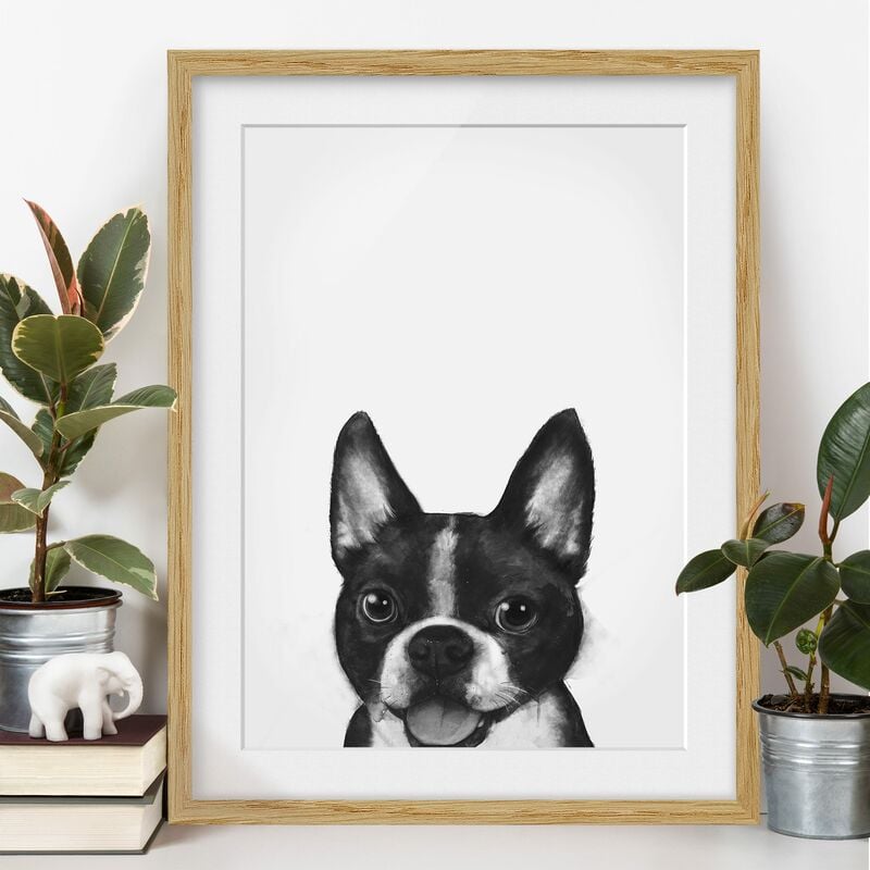Póster enmarcado - Illustrazione Dog Boston Monochrome Pittura Dimensión LxA: 100cm x 70cm, Marco: Roble
Póster enmarcado - Illustrazione Dog Boston Monochrome Pittura Dimensión LxA: 100cm x 70cm, Marco: Roble