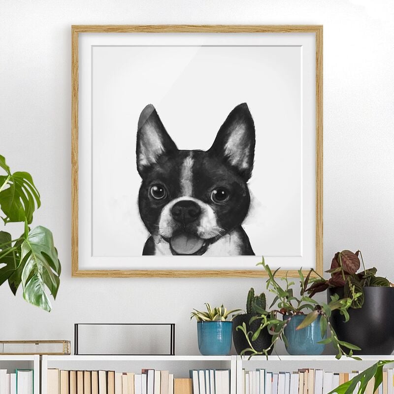 Póster enmarcado - Illustrazione Dog Boston Monochrome Pittura Dimensión LxA: 20cm x 20cm, Marco: Roble
Póster enmarcado - Illustrazione Dog Boston Monochrome Pittura Dimensión LxA: 20cm x 20cm, Marco: Roble