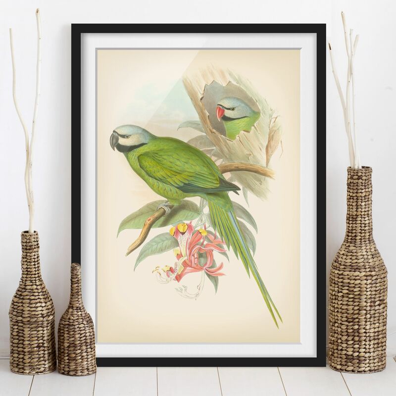 Póster enmarcado - Illustrazione Vintage Tropical Birds II Dimensión LxA: 24cm x 18cm, Marco: Negro
Póster enmarcado - Illustrazione Vintage Tropical Birds II Dimensión LxA: 24cm x 18cm, Marco: Negro