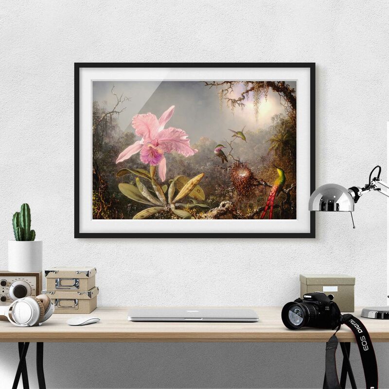 Póster enmarcado - Martin Johnson Heade - orchidea e Tre colibrì Dimensión LxA: 18cm x 24cm, Marco: Negro
Póster enmarcado - Martin Johnson Heade - orchidea e Tre colibrì Dimensión LxA: 18cm x 24cm, Marco: Negro