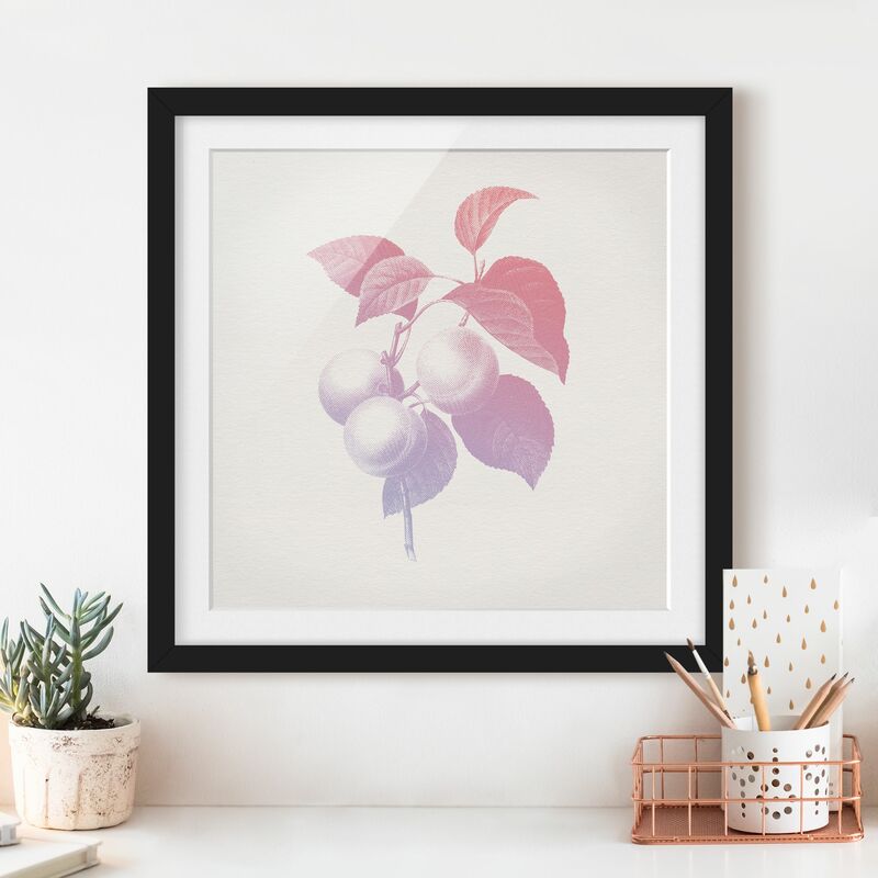 Póster enmarcado - Moderna Vintage botanico Peach Rosa Viola Dimensión LxA: 20cm x 20cm, Marco: Negro
Póster enmarcado - Moderna Vintage botanico Peach Rosa Viola Dimensión LxA: 20cm x 20cm, Marco: Negro