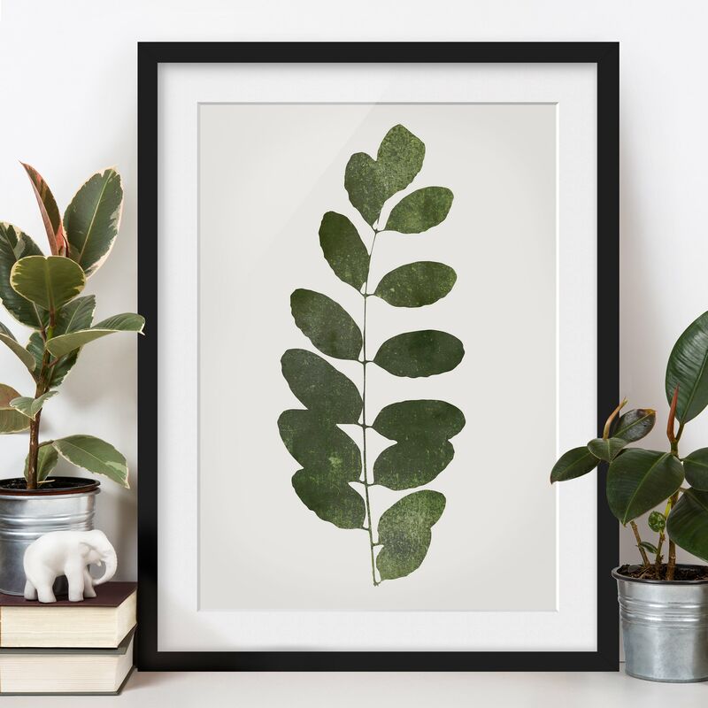 Póster enmarcado - Mondo vegetale grafico - Verde scuro Dimensión LxA: 40cm x 30cm, Marco: Negro
Póster enmarcado - Mondo vegetale grafico - Verde scuro Dimensión LxA: 40cm x 30cm, Marco: Negro