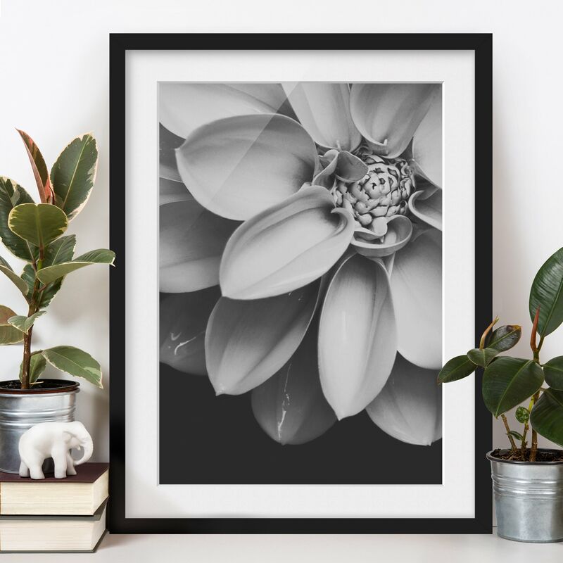 Póster enmarcado - Nel cuore di una dalia in bianco e nero Dimensión LxA: 55cm x 40cm, Marco: Negro
Póster enmarcado - Nel cuore di una dalia in bianco e nero Dimensión LxA: 55cm x 40cm, Marco: Negro