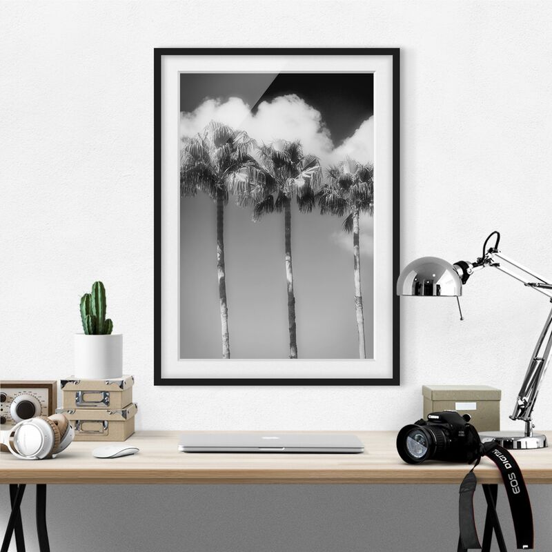 Póster enmarcado - Palme Davanti il cielo bianco e nero Dimensión LxA: 24cm x 18cm, Marco: Negro
Póster enmarcado - Palme Davanti il cielo bianco e nero Dimensión LxA: 24cm x 18cm, Marco: Negro