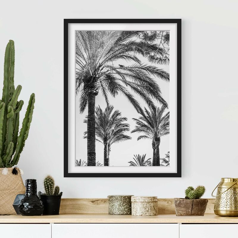 Póster enmarcado - Palme Nel Tramonto Bianco e nero Dimensión LxA: 24cm x 18cm, Marco: Negro
Póster enmarcado - Palme Nel Tramonto Bianco e nero Dimensión LxA: 24cm x 18cm, Marco: Negro