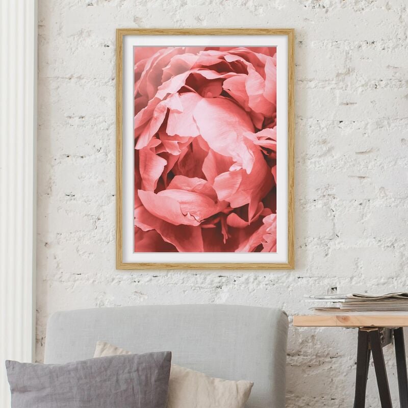 Póster enmarcado - Peony di corallo del fiore Dimensión LxA: 70cm x 50cm, Marco: Roble
Póster enmarcado - Peony di corallo del fiore Dimensión LxA: 70cm x 50cm, Marco: Roble