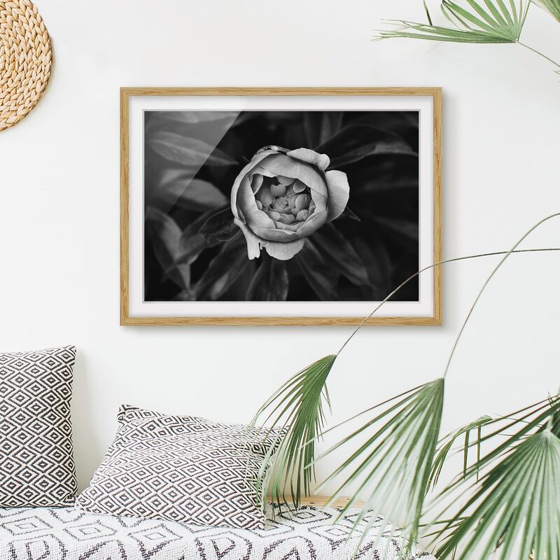 Póster enmarcado - Peony fiore bianco frontale nero Foglie Dimensión LxA: 40cm x 55cm, Marco: Roble
Póster enmarcado - Peony fiore bianco frontale nero Foglie Dimensión LxA: 40cm x 55cm, Marco: Roble