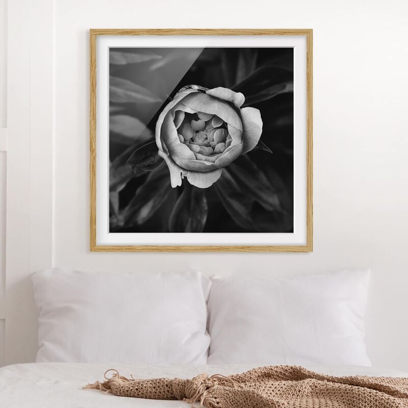 Póster enmarcado - Peony fiore bianco frontale nero Foglie Dimensión LxA: 20cm x 20cm, Marco: Roble
Póster enmarcado - Peony fiore bianco frontale nero Foglie Dimensión LxA: 20cm x 20cm, Marco: Roble