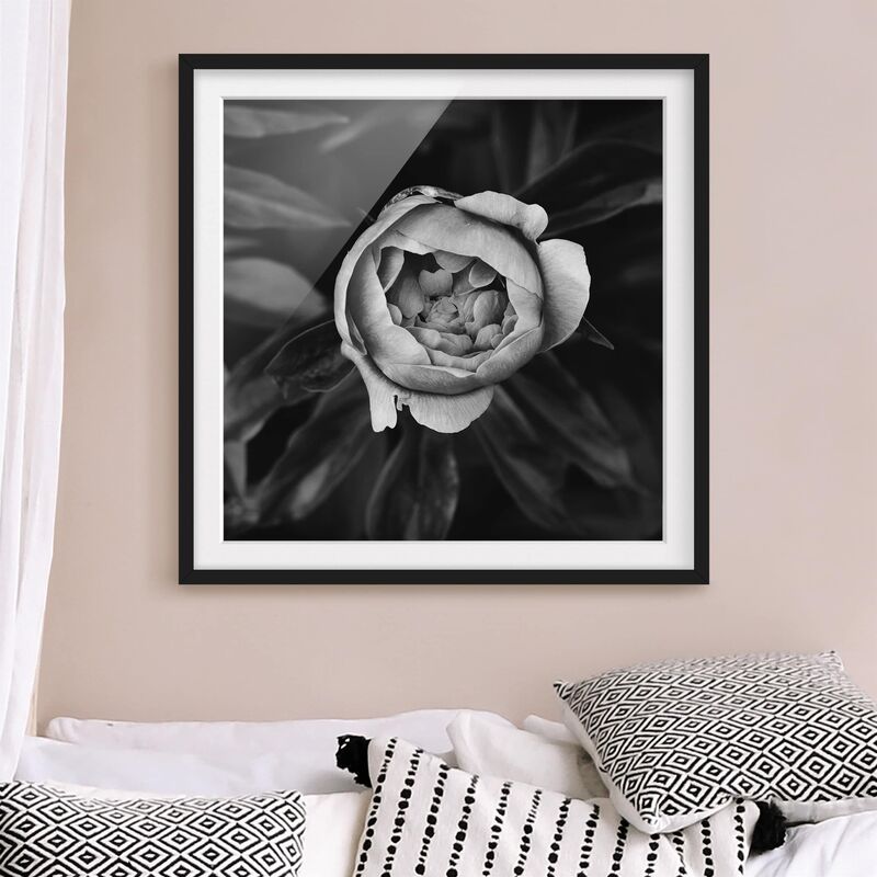 Póster enmarcado - Peony fiore bianco frontale nero Foglie Dimensión LxA: 50cm x 50cm, Marco: Negro
Póster enmarcado - Peony fiore bianco frontale nero Foglie Dimensión LxA: 50cm x 50cm, Marco: Negro