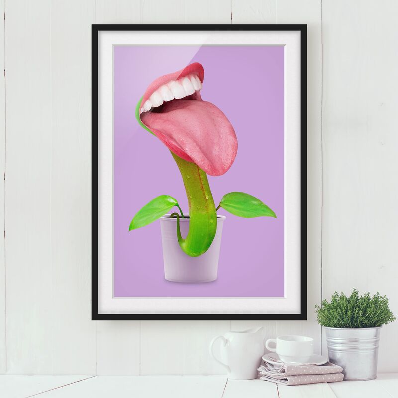 Póster enmarcado - Pianta carnivora Con La Bocca Dimensión LxA: 70cm x 50cm, Marco: Negro
Póster enmarcado - Pianta carnivora Con La Bocca Dimensión LxA: 70cm x 50cm, Marco: Negro