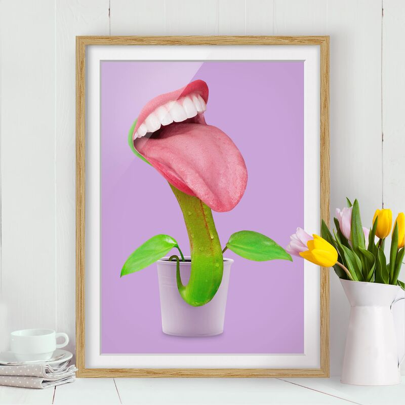 Póster enmarcado - Pianta carnivora Con La Bocca Dimensión LxA: 40cm x 30cm, Marco: Roble
Póster enmarcado - Pianta carnivora Con La Bocca Dimensión LxA: 40cm x 30cm, Marco: Roble