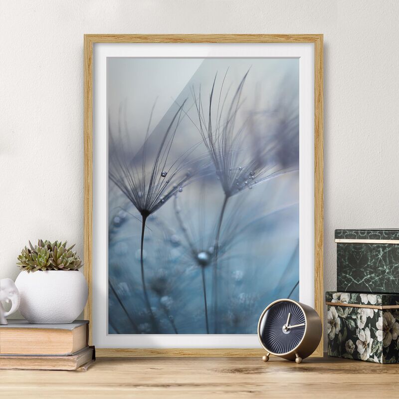 Póster enmarcado - Piume blu Sotto La Pioggia Dimensión LxA: 70cm x 50cm, Marco: Roble
Póster enmarcado - Piume blu Sotto La Pioggia Dimensión LxA: 70cm x 50cm, Marco: Roble