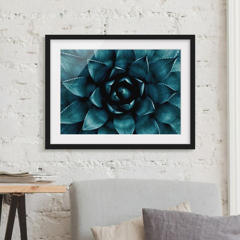 Póster enmarcado - Pianta grassa in petrolio II Dimensión LxA: 50cm x 70cm, Marco: Negro
Póster enmarcado - Pianta grassa in petrolio II Dimensión LxA: 50cm x 70cm, Marco: Negro