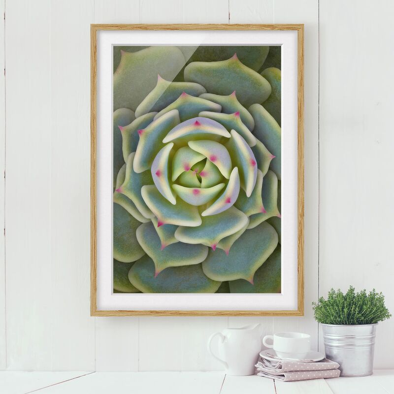 Póster enmarcado - Pianta Grassa - Echeveria Ben Badis Dimensión LxA: 24cm x 18cm, Marco: Roble
Póster enmarcado - Pianta Grassa - Echeveria Ben Badis Dimensión LxA: 24cm x 18cm, Marco: Roble