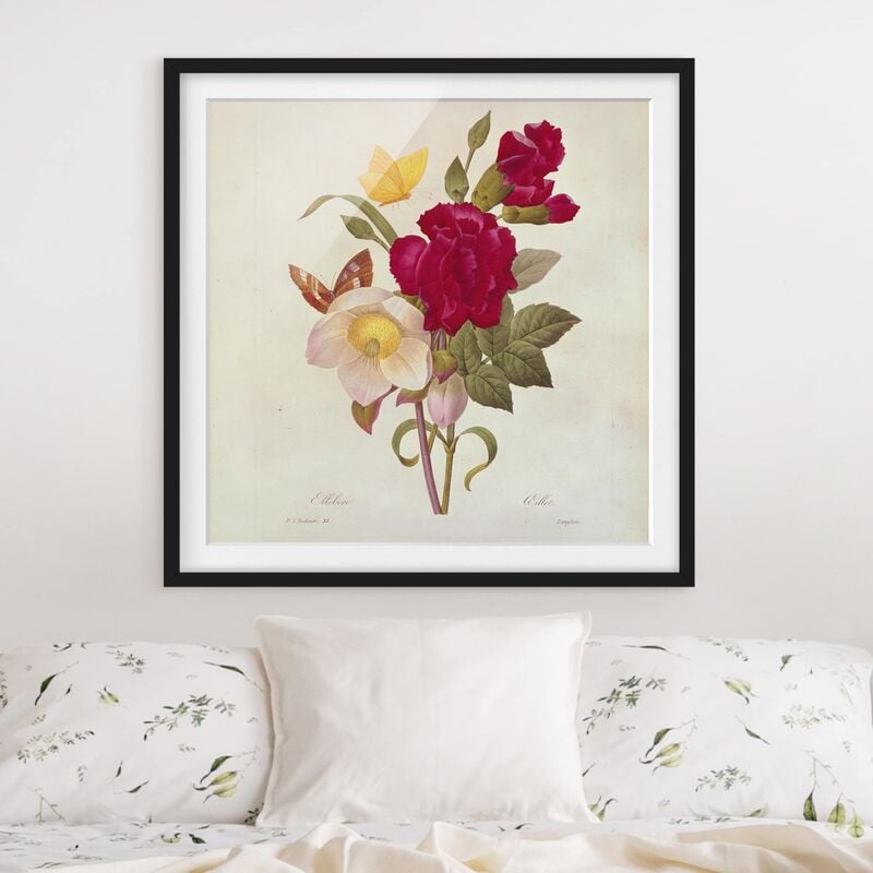 Póster enmarcado - Pierre Joseph Redoute - Hellebores Dimensión LxA: 50cm x 50cm, Marco: Negro
Póster enmarcado - Pierre Joseph Redoute - Hellebores Dimensión LxA: 50cm x 50cm, Marco: Negro