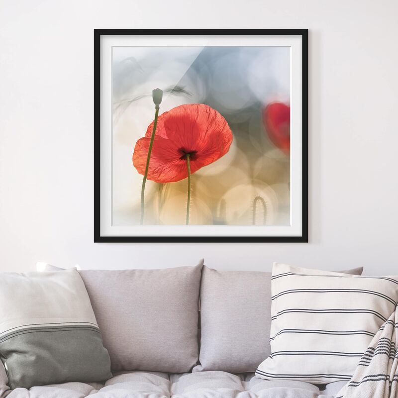 Póster enmarcado - Poppies In The Morning Dimensión LxA: 70cm x 70cm, Marco: Negro
Póster enmarcado - Poppies In The Morning Dimensión LxA: 70cm x 70cm, Marco: Negro