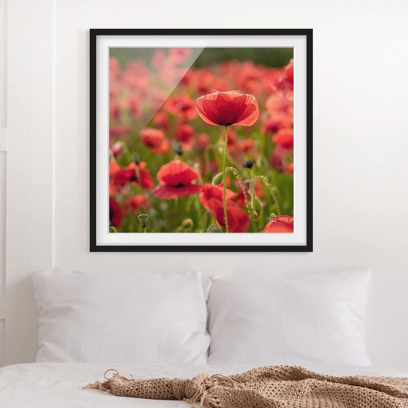 Póster enmarcado - Poppy Field In Sunlight Dimensión LxA: 20cm x 20cm, Marco: Negro
Póster enmarcado - Poppy Field In Sunlight Dimensión LxA: 20cm x 20cm, Marco: Negro