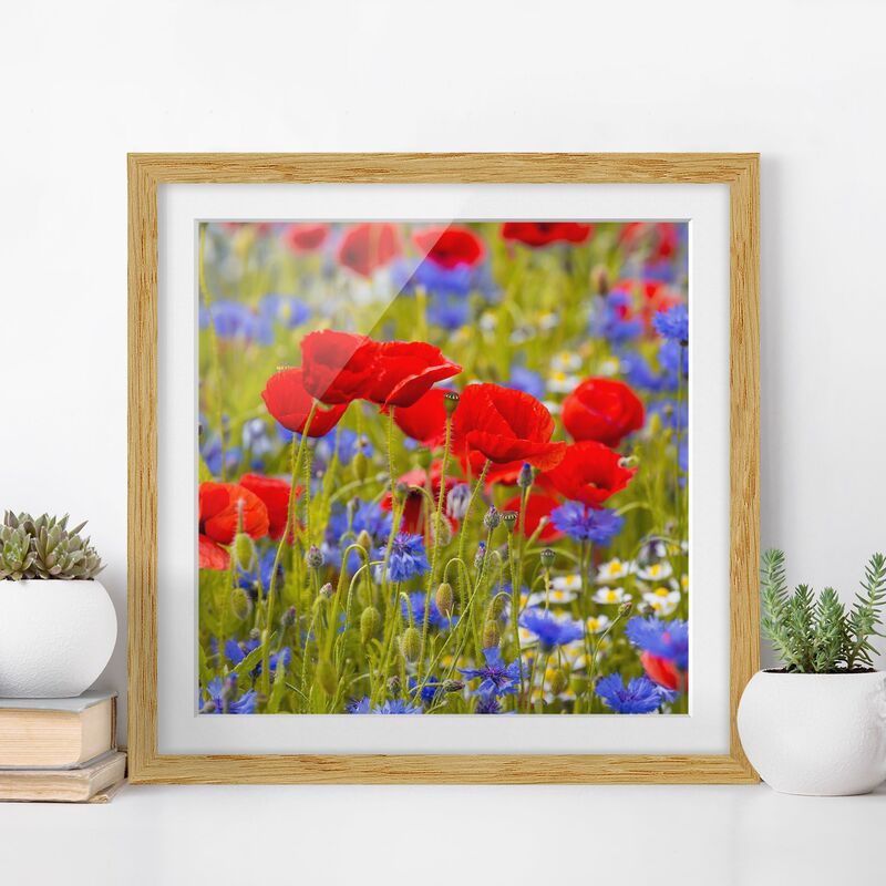 Póster enmarcado - Prato di estate con papaveri e fiordalisi Dimensión LxA: 20cm x 20cm, Marco: Roble 
Póster enmarcado - Prato di estate con papaveri e fiordalisi Dimensión LxA: 20cm x 20cm, Marco: Roble