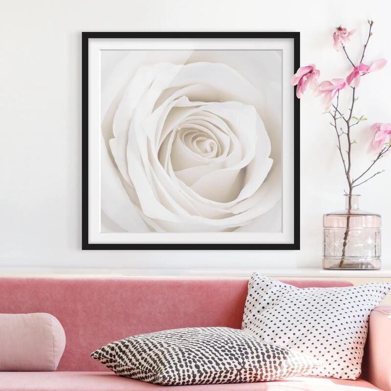 Póster enmarcado - Pretty White Rose Dimensión LxA: 70cm x 70cm, Marco: Negro
Póster enmarcado - Pretty White Rose Dimensión LxA: 70cm x 70cm, Marco: Negro