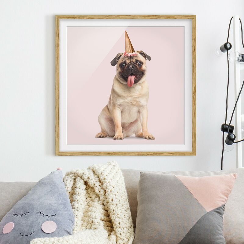 Póster enmarcado - Pug con cono di gelato Dimensión LxA: 50cm x 50cm, Marco: Roble
Póster enmarcado - Pug con cono di gelato Dimensión LxA: 50cm x 50cm, Marco: Roble
