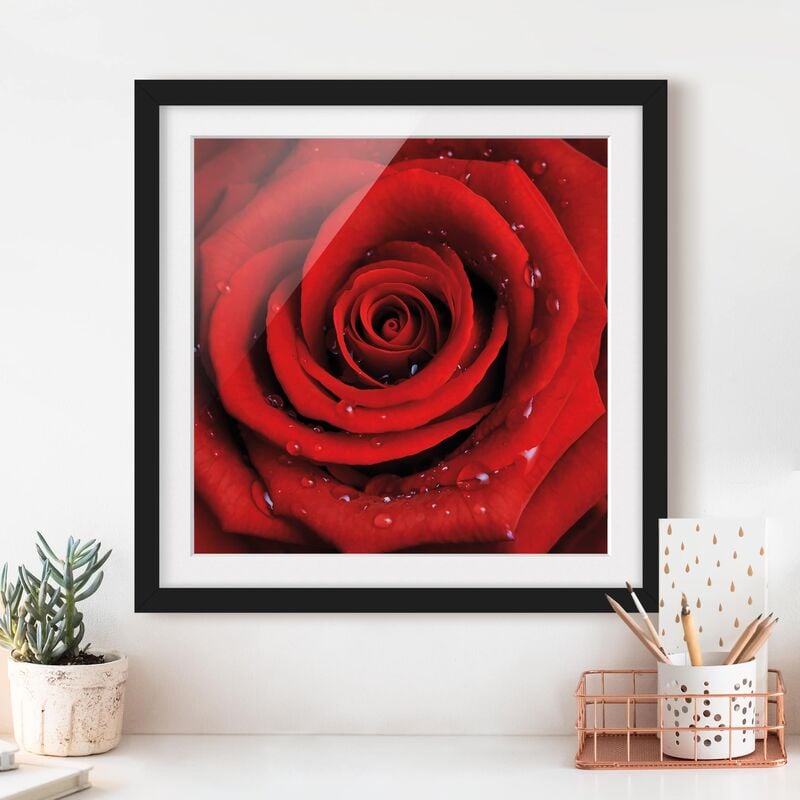 Póster enmarcado - Red Rose With Water Drops Dimensión LxA: 50cm x 50cm, Marco: Negro
Póster enmarcado - Red Rose With Water Drops Dimensión LxA: 50cm x 50cm, Marco: Negro