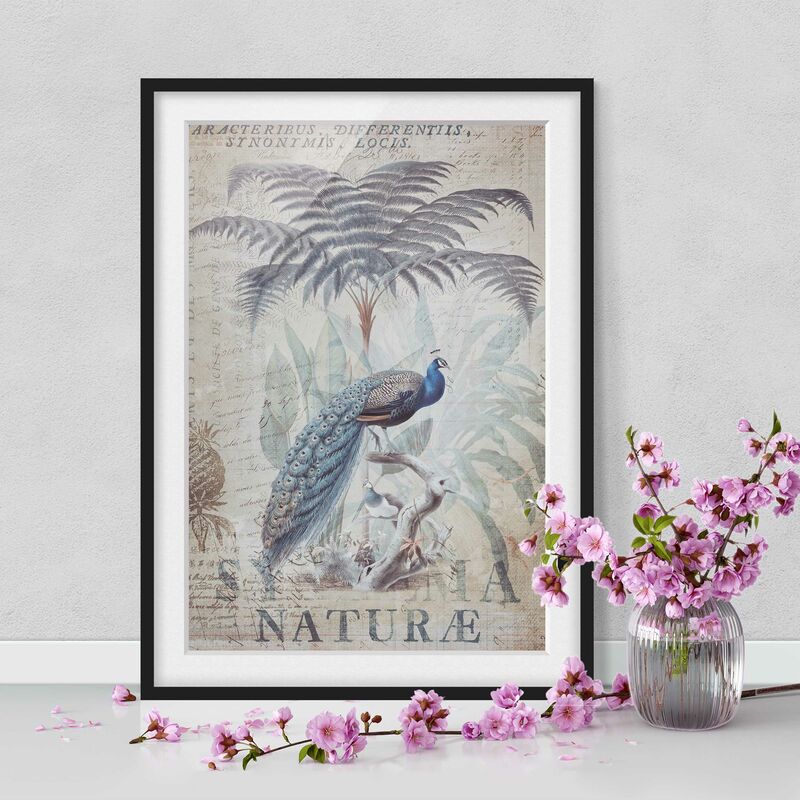 Póster enmarcado - Shabby Chic Collage - Peacock Dimensión LxA: 40cm x 30cm, Marco: Negro
Póster enmarcado - Shabby Chic Collage - Peacock Dimensión LxA: 40cm x 30cm, Marco: Negro