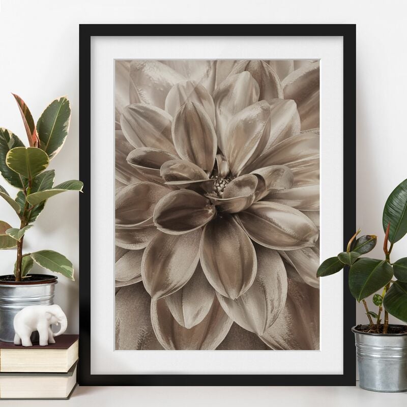 Póster enmarcado - Sogno di dalie in bronzo Dimensión LxA: 100cm x 70cm, Marco: Negro
Póster enmarcado - Sogno di dalie in bronzo Dimensión LxA: 100cm x 70cm, Marco: Negro