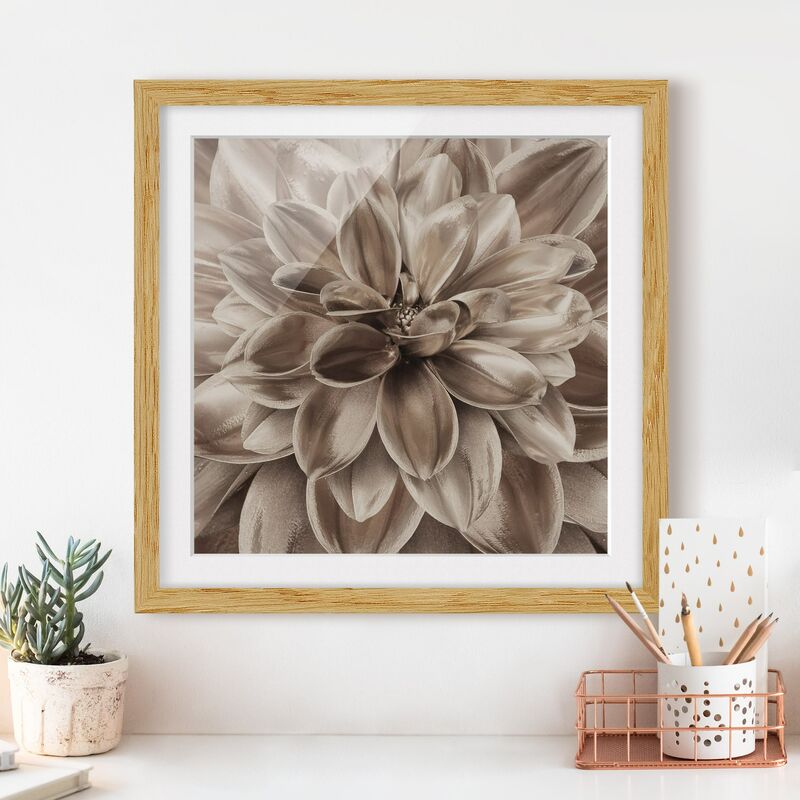 Póster enmarcado - Sogno di dalie in bronzo Dimensión LxA: 70cm x 70cm, Marco: Roble
Póster enmarcado - Sogno di dalie in bronzo Dimensión LxA: 70cm x 70cm, Marco: Roble