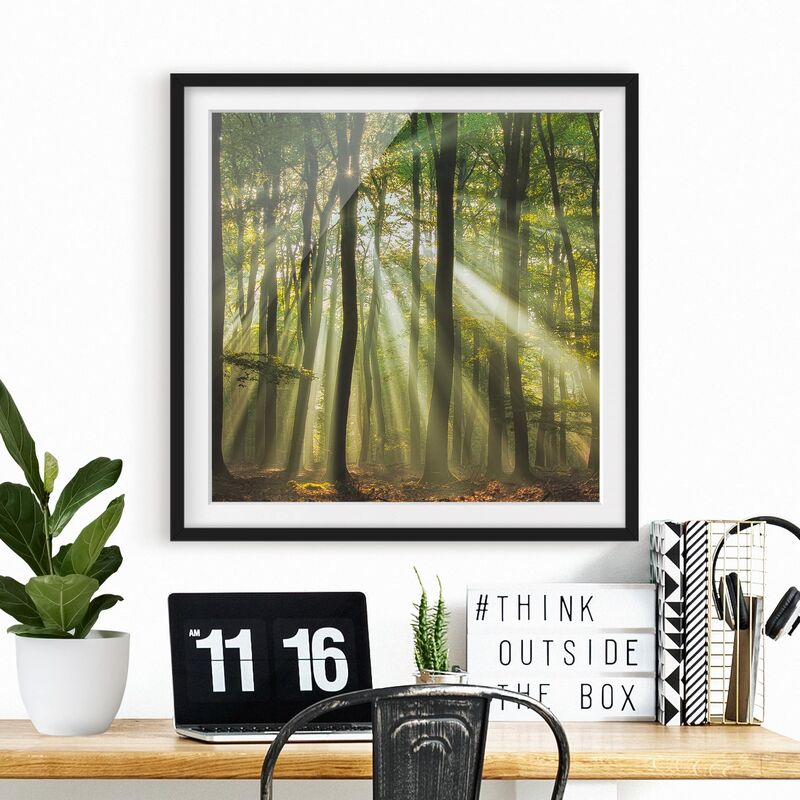 Póster enmarcado - Sunny Day In The Forest Dimensión LxA: 20cm x 20cm, Marco: Negro
Póster enmarcado - Sunny Day In The Forest Dimensión LxA: 20cm x 20cm, Marco: Negro
