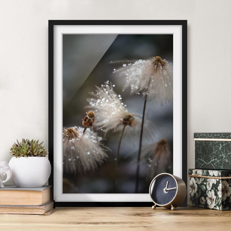 Póster enmarcado - Tarassaco con fiocchi di neve Dimensión LxA: 24cm x 18cm, Marco: Negro
Póster enmarcado - Tarassaco con fiocchi di neve Dimensión LxA: 24cm x 18cm, Marco: Negro