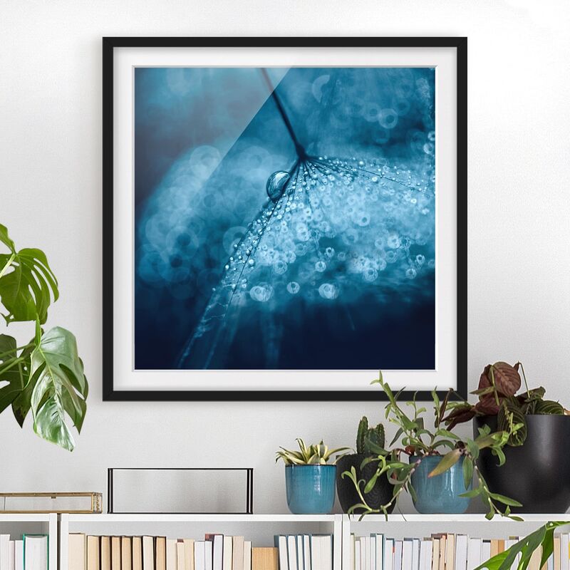 Póster enmarcado - Tarassaco Blu In The Rain Dimensión LxA: 30cm x 30cm, Marco: Negro
Póster enmarcado - Tarassaco Blu In The Rain Dimensión LxA: 30cm x 30cm, Marco: Negro